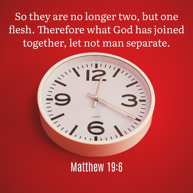 So they are no longer two, but one flesh. Therefore what God has joined together, let not man separate. - Matthew 19:6