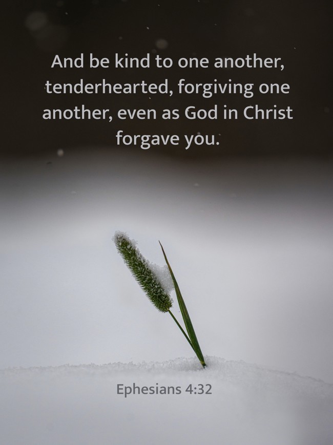 And be kind to one another, tenderhearted, forgiving one another, even as God in Christ forgave you. - Ephesians 4:32