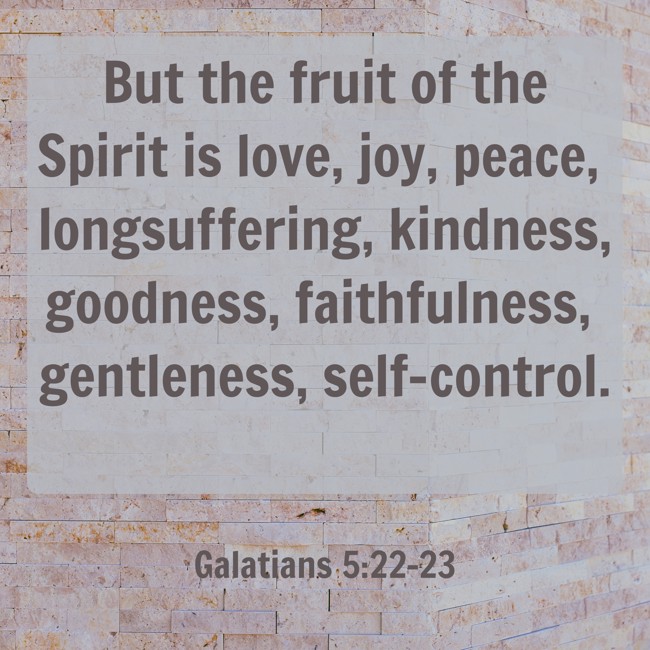 But the fruit of the Spirit is love, joy, peace, longsuffering, kindness, goodness, faithfulness, gentleness, self-control. - Galatians 5:22-23
