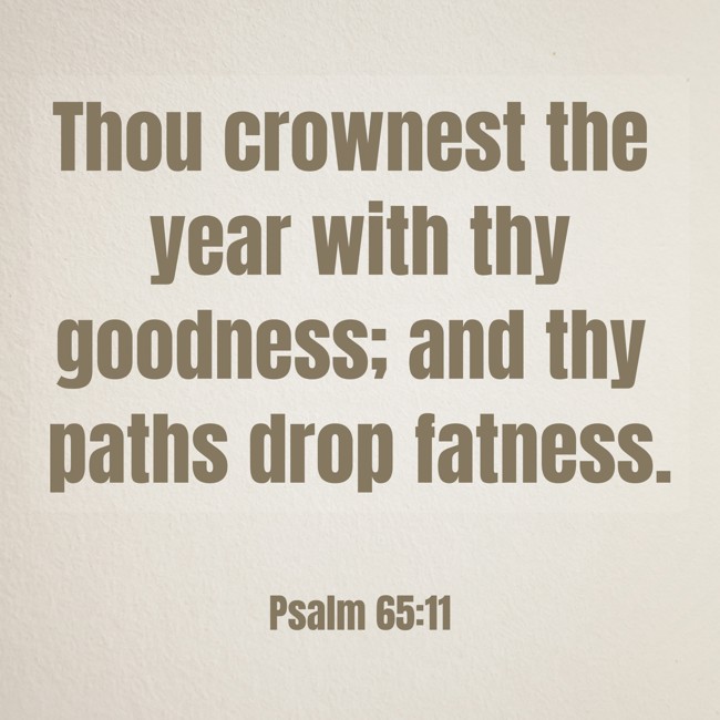 Thou crownest the year with thy goodness; and thy paths drop fatness. - Psalm 65:11