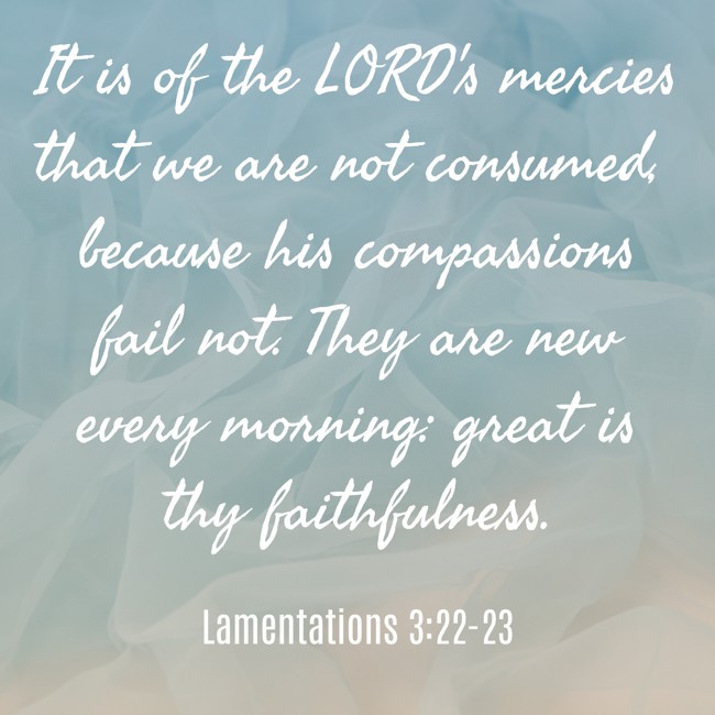 It is of the LORD's mercies that we are not consumed, because his compassions fail not. They are new every morning: great is thy faithfulness. - Lamentations 3:22-23