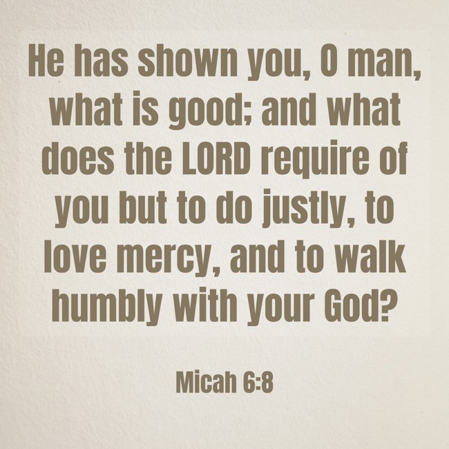 He has shown you, O man, what is good; and what does the LORD require of you but to do justly, to love mercy, and to walk humbly with your God? - Micah 6:8