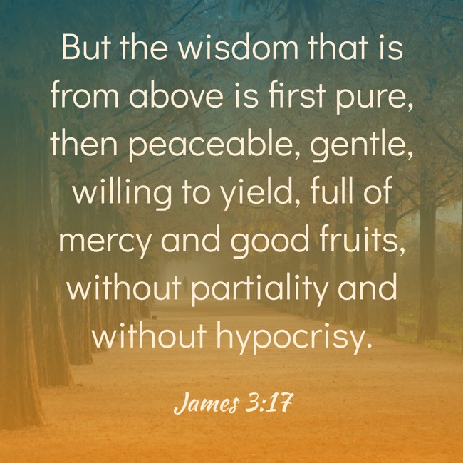 But the wisdom that is from above is first pure, then peaceable, gentle, willing to yield, full of mercy and good fruits, without partiality and without hypocrisy. - James 3:17