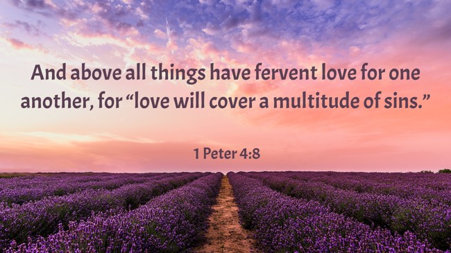 And above all things have fervent love for one another, for “love will cover a multitude of sins.” - 1 Peter 4:8