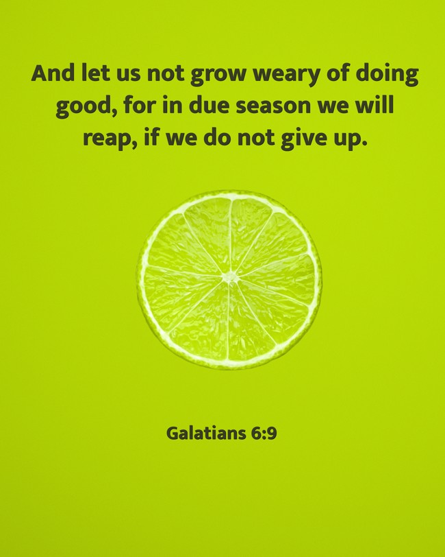 And let us not grow weary of doing good, for in due season we will reap, if we do not give up. - Galatians 6:9