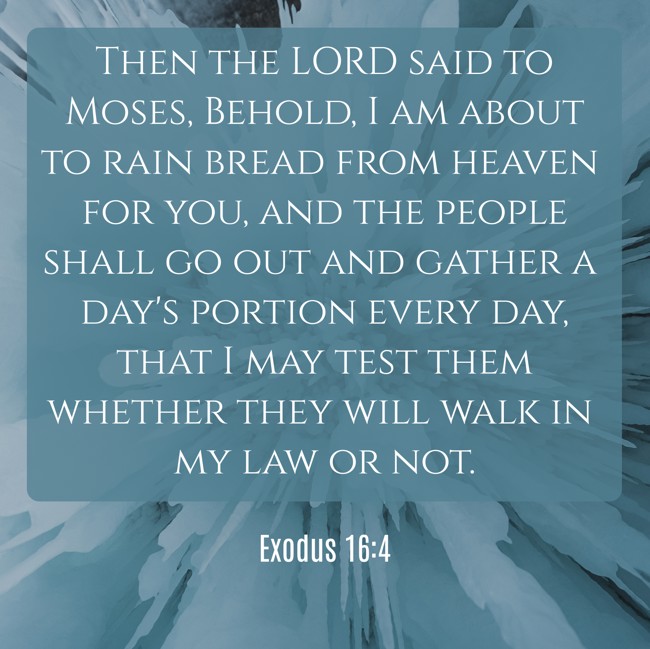 Then the LORD said to Moses, Behold, I am about to rain bread from heaven for you, and the people shall go out and gather a day's portion every day, that I may test them whether they will walk in my law or not. - Exodus 16:4