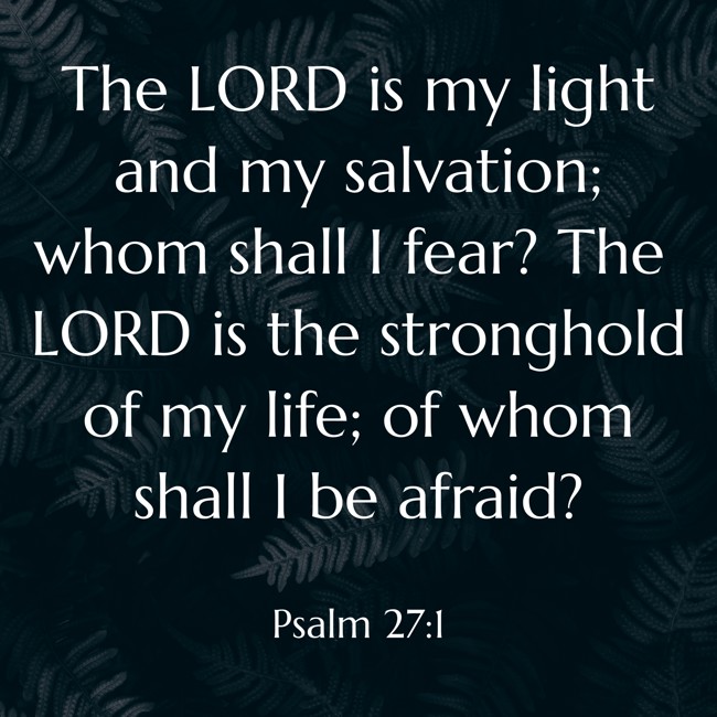 The LORD is my light and my salvation; whom shall I fear? The LORD is the stronghold of my life; of whom shall I be afraid? - Psalm 27:1