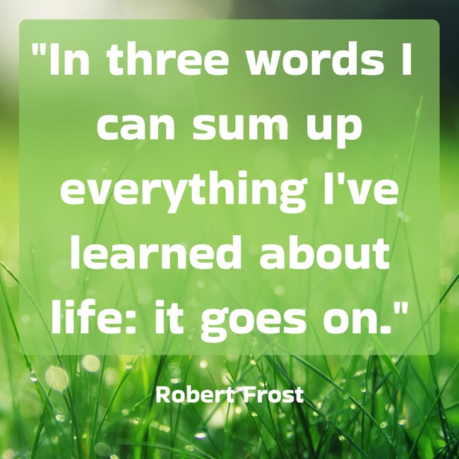 In three words I can sum up everything I've learned about life: it goes on. - Robert Frost