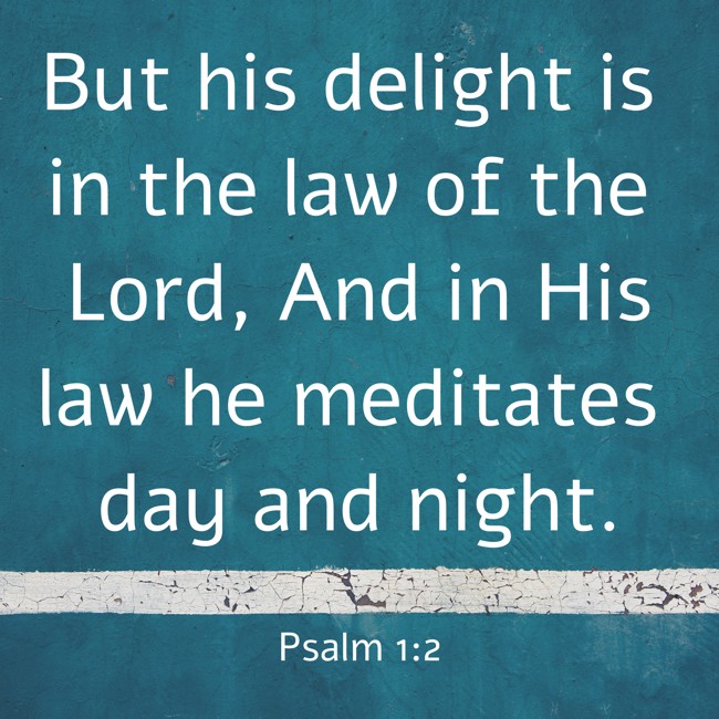  But his delight is in the law of the Lord, And in His law he meditates day and night.   - Psalm 1:2 
