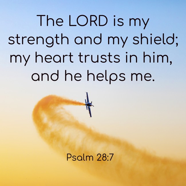 The LORD is my strength and my shield; my heart trusts in him, and he helps me. - Psalm 28:7