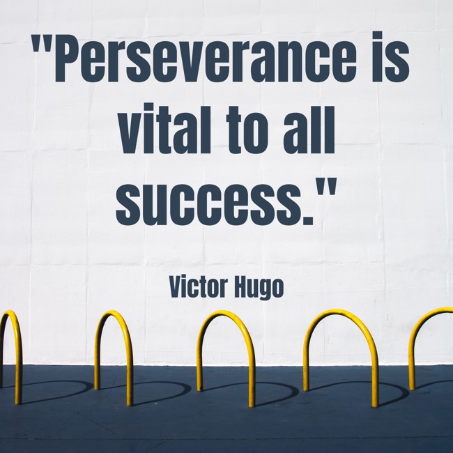  Perseverance is vital to all success.   - Victor Hugo 