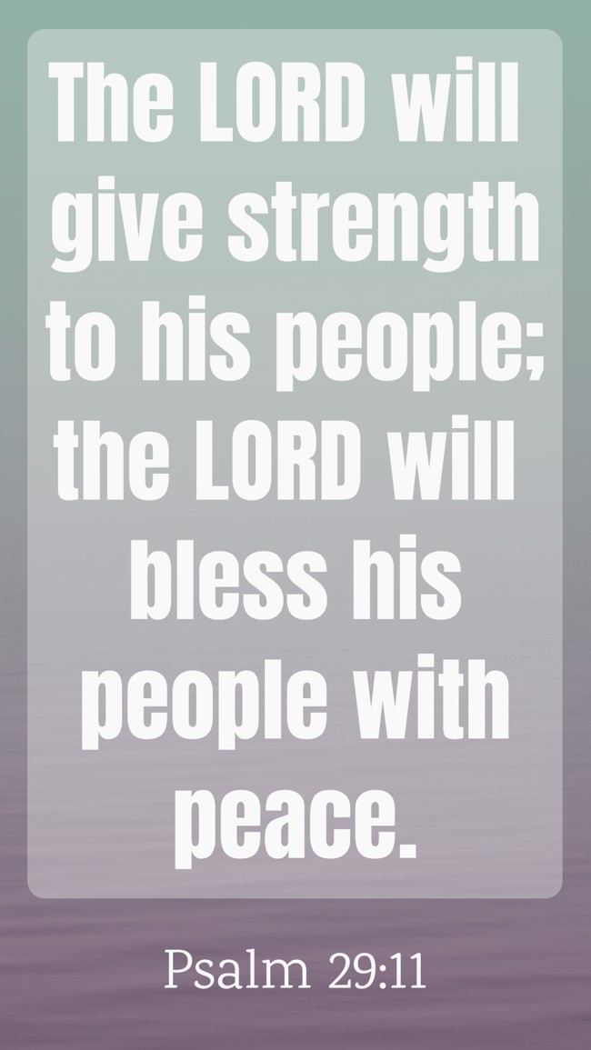 The LORD will give strength to his people; the LORD will bless his people with peace. - Psalm 29:11
