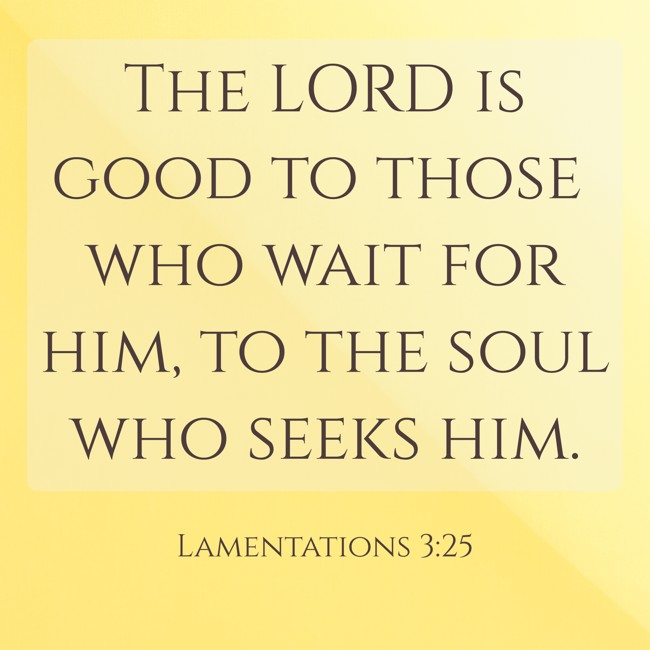The LORD is good to those who wait for him, to the soul who seeks him. - Lamentations 3:25