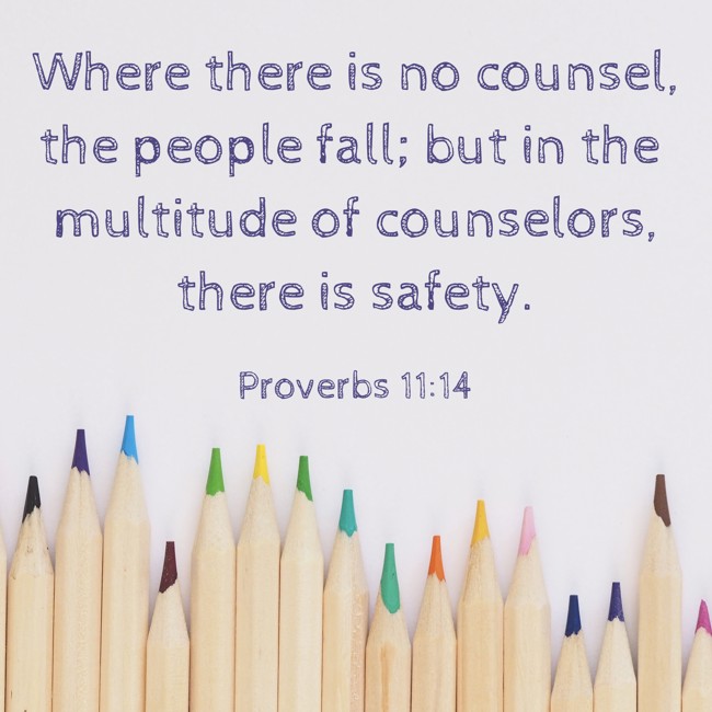 Where there is no counsel, the people fall; but in the multitude of counselors, there is safety. - Proverbs 11:14