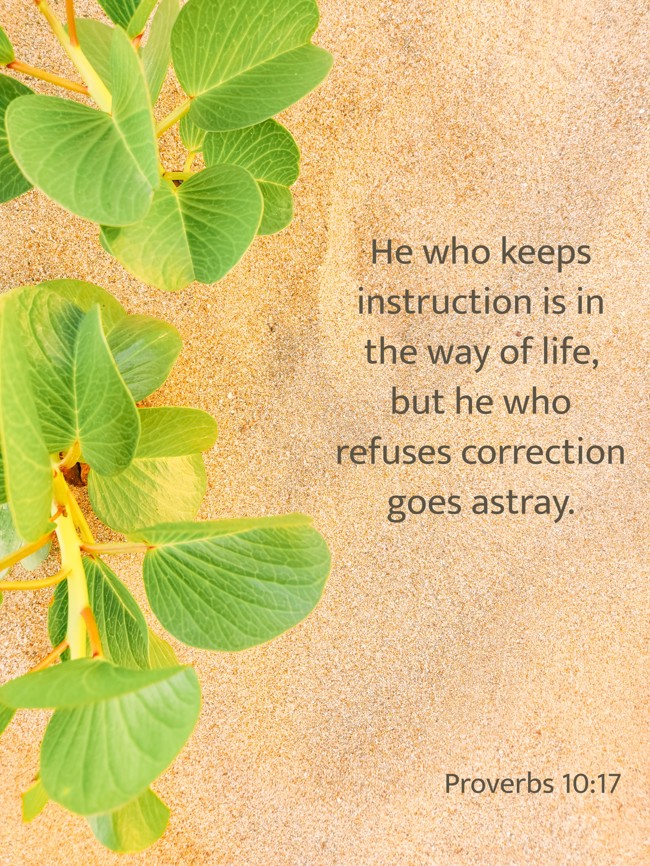 He who keeps instruction is in the way of life, but he who refuses correction goes astray. - Proverbs 10:17