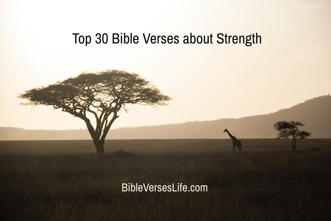 Top 30 Bible Verses about Strength