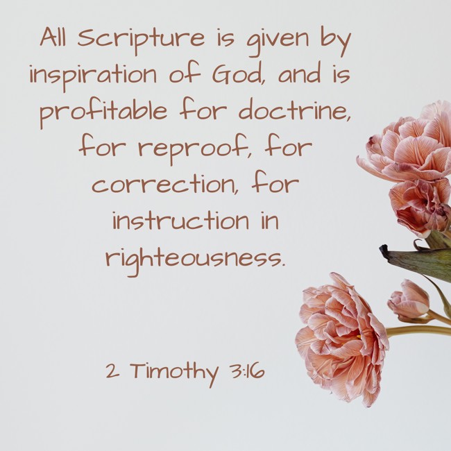 All Scripture is given by inspiration of God, and is profitable for doctrine, for reproof, for correction, for instruction in righteousness. - 2 Timothy 3:16