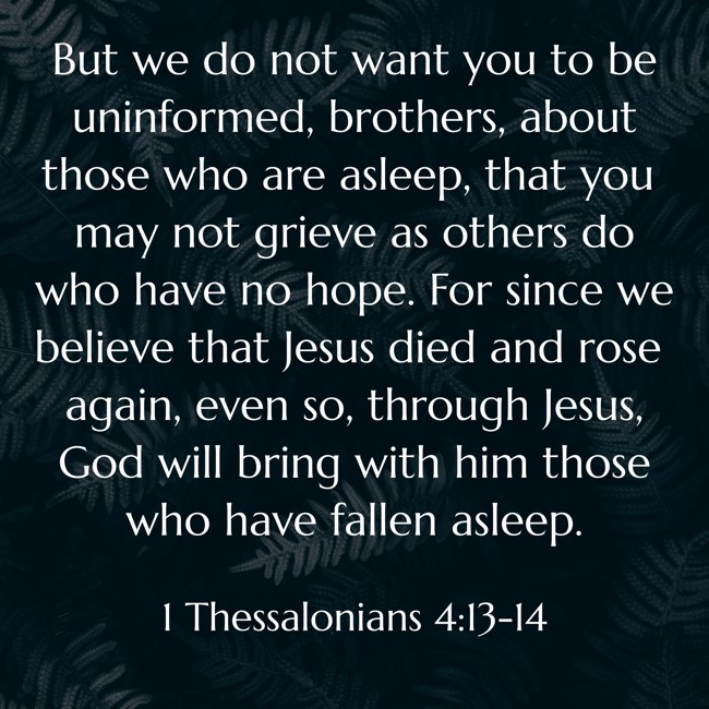 But we do not want you to be uninformed, brothers, about those who are asleep, that you may not grieve as others do who have no hope. For since we believe that Jesus died and rose again, even so, through Jesus, God will bring with him those who have fallen asleep. - 1 Thessalonians 4:13-14