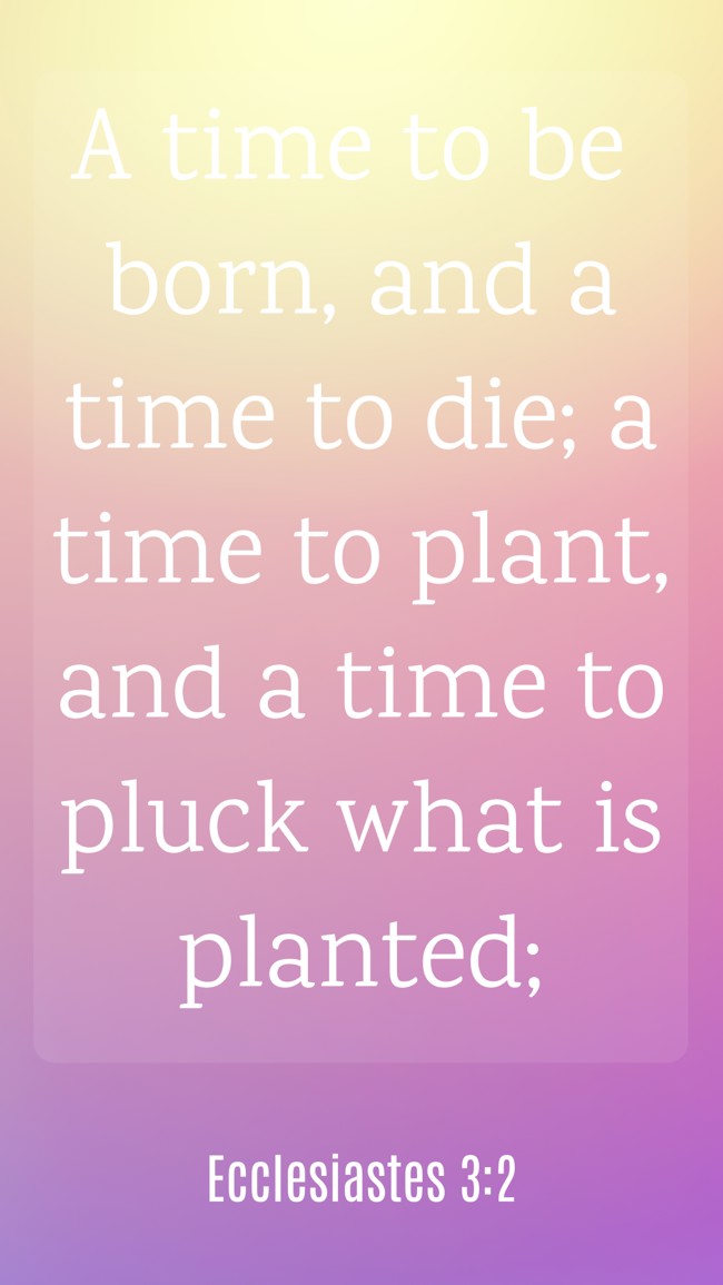 A time to be born, and a time to die; a time to plant, and a time to pluck what is planted; - Ecclesiastes 3:2