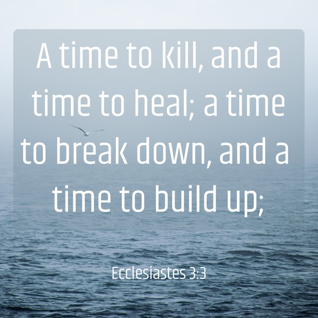 A time to kill, and a time to heal; a time to break down, and a time to build up; - Ecclesiastes 3:3