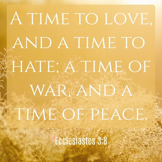 A time to love, and a time to hate; a time of war, and a time of peace. - Ecclesiastes 3:8