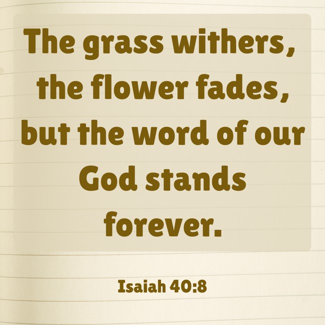 The grass withers, the flower fades, but the word of our God stands forever. - Isaiah 40:8