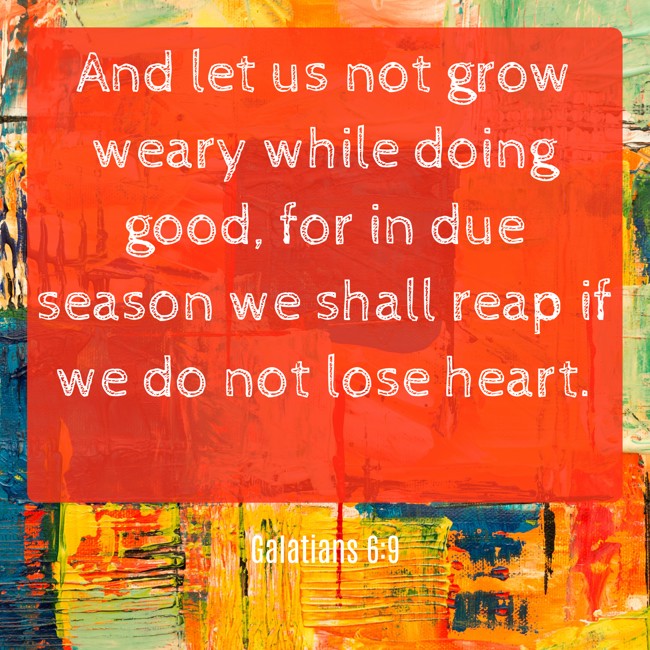 And let us not grow weary while doing good, for in due season we shall reap if we do not lose heart. - Galatians 6:9