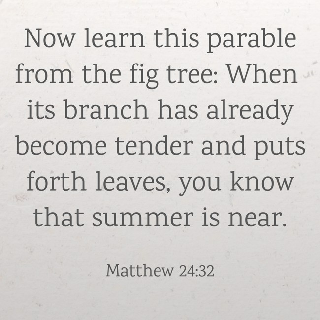 Now learn this parable from the fig tree: When its branch has already become tender and puts forth leaves, you know that summer is near. - Matthew 24:32