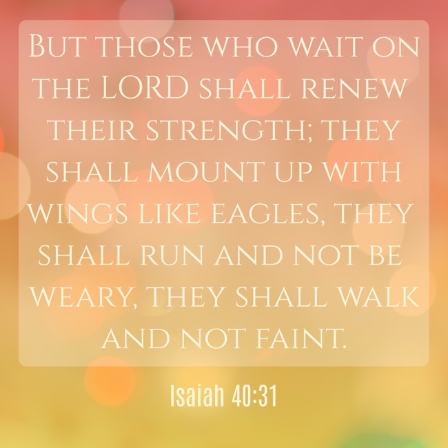 But those who wait on the LORD shall renew their strength; they shall mount up with wings like eagles, they shall run and not be weary, they shall walk and not faint. - Isaiah 40:31