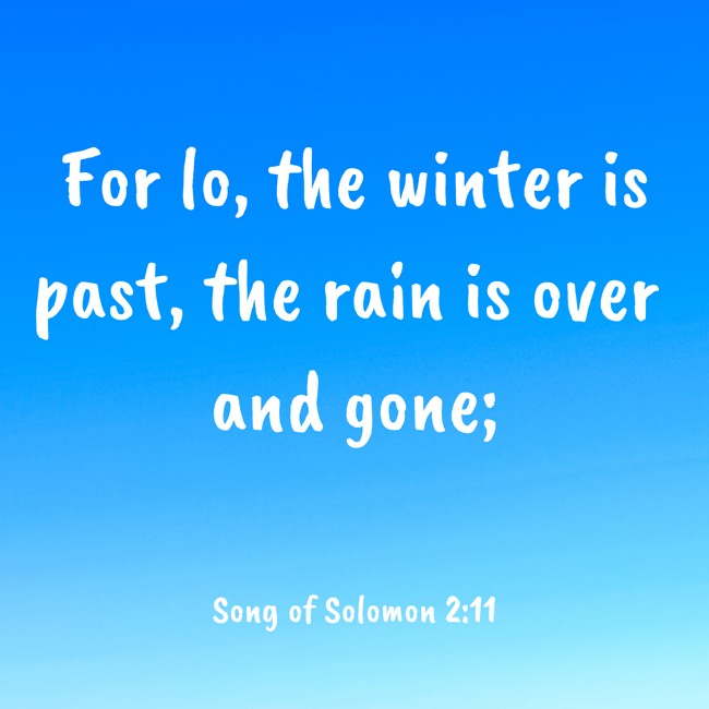 For lo, the winter is past, the rain is over and gone; - Song of Solomon 2:11