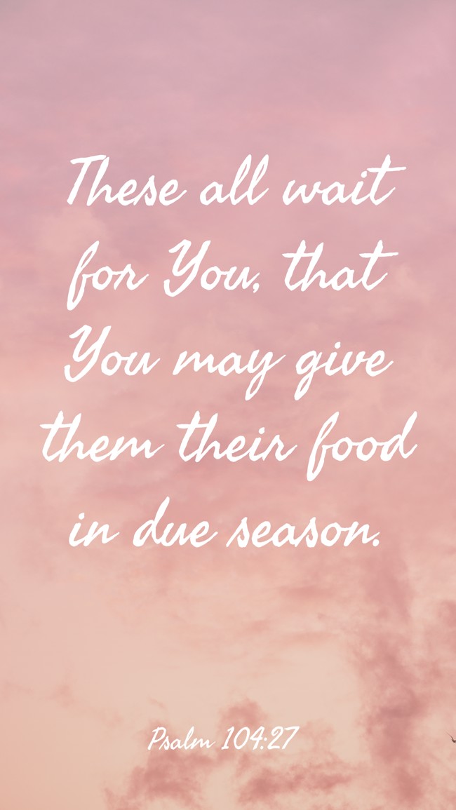 These all wait for You, that You may give them their food in due season. - Psalm 104:27