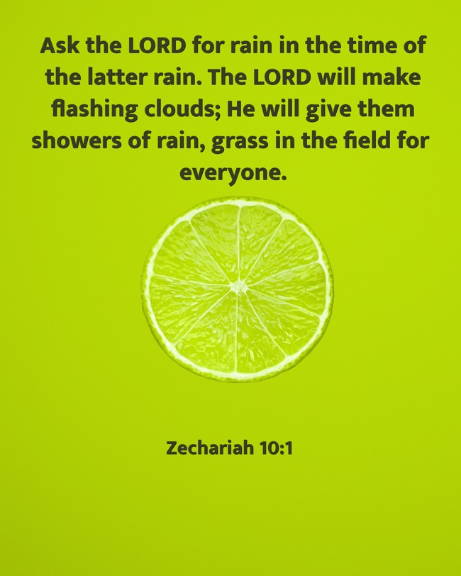 Ask the LORD for rain in the time of the latter rain. The LORD will make flashing clouds; He will give them showers of rain, grass in the field for everyone. - Zechariah 10:1