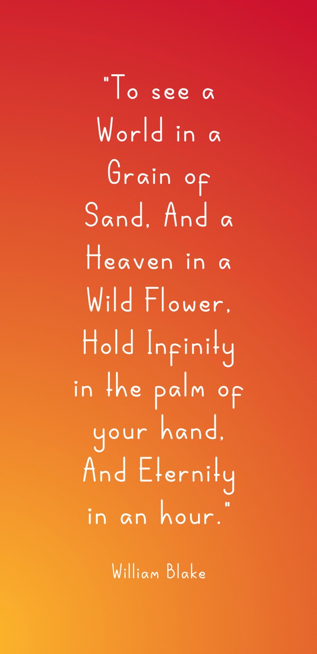 To see a World in a Grain of Sand, And a Heaven in a Wild Flower, Hold Infinity in the palm of your hand, And Eternity in an hour. - William Blake