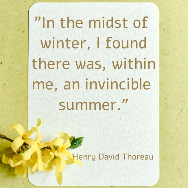 In the midst of winter, I found there was, within me, an invincible summer. - Henry David Thoreau