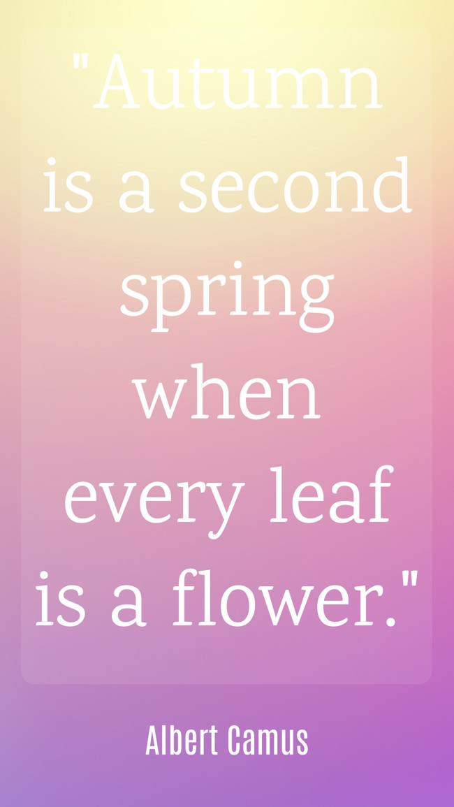 Autumn is a second spring when every leaf is a flower. - Albert Camus