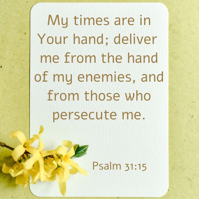 My times are in Your hand; deliver me from the hand of my enemies, and from those who persecute me. - Psalm 31:15