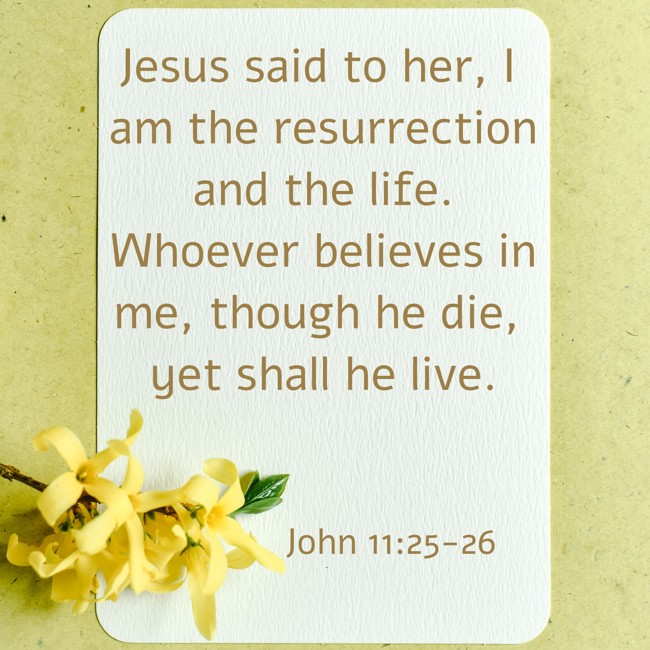 Jesus said to her, I am the resurrection and the life. Whoever believes in me, though he die, yet shall he live. - John 11:25-26