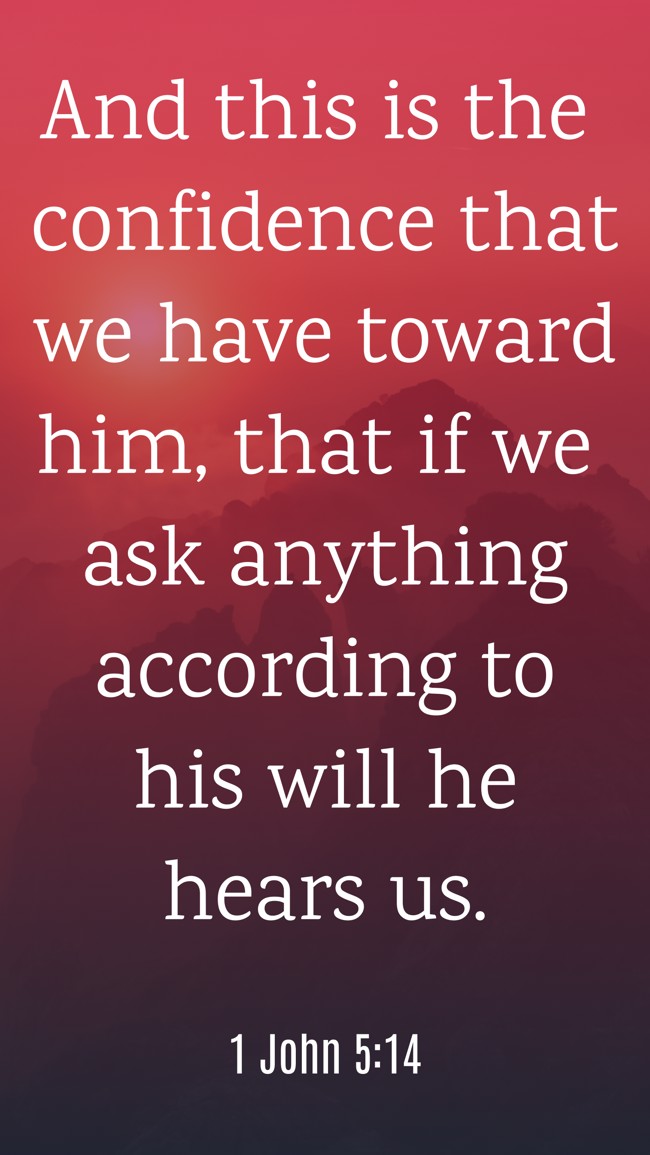 And this is the confidence that we have toward him, that if we ask anything according to his will he hears us. - 1 John 5:14