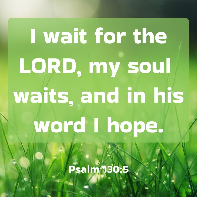 I wait for the LORD, my soul waits, and in his word I hope. - Psalm 130:5