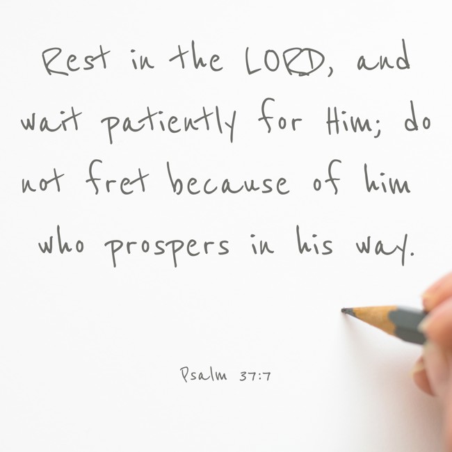 Rest in the LORD, and wait patiently for Him; do not fret because of him who prospers in his way. - Psalm 37:7