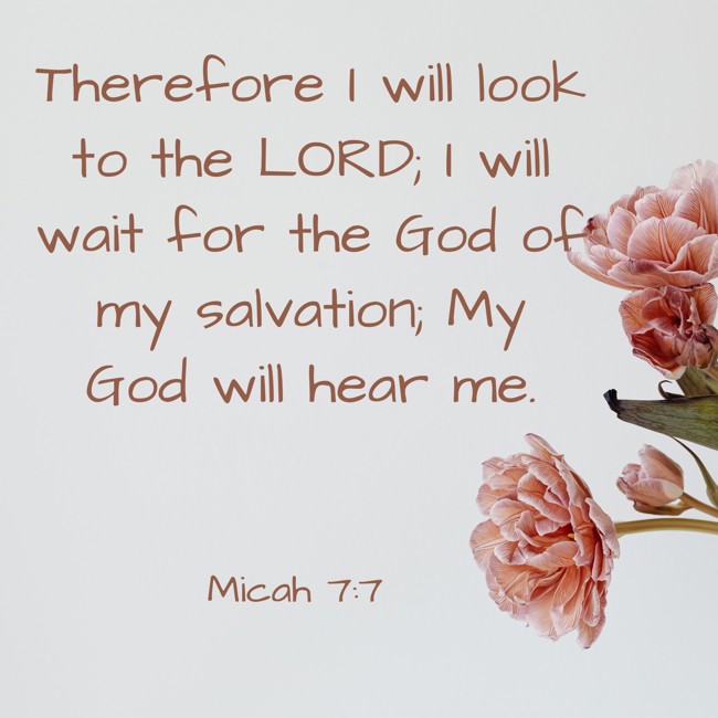 Therefore I will look to the LORD; I will wait for the God of my salvation; My God will hear me. - Micah 7:7