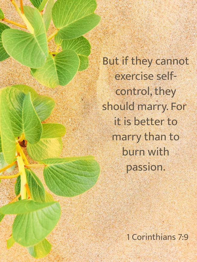 But if they cannot exercise self-control, they should marry. For it is better to marry than to burn with passion. - 1 Corinthians 7:9