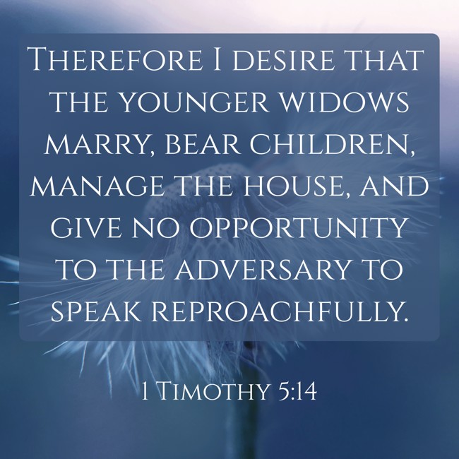 Therefore I desire that the younger widows marry, bear children, manage the house, and give no opportunity to the adversary to speak reproachfully. - 1 Timothy 5:14