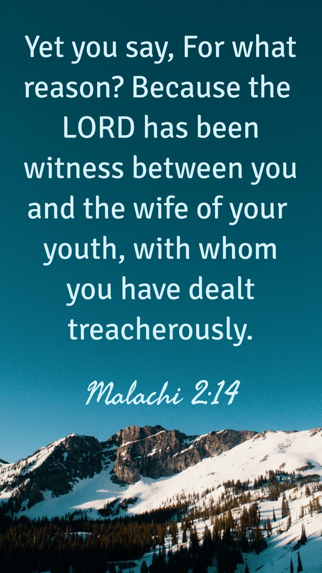 Yet you say, For what reason? Because the LORD has been witness between you and the wife of your youth, with whom you have dealt treacherously. - Malachi 2:14