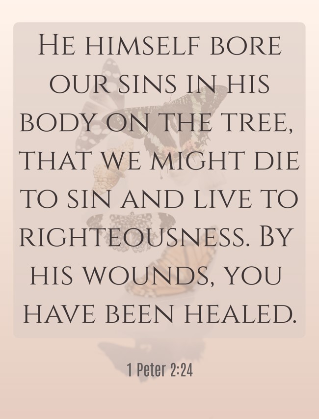 He himself bore our sins in his body on the tree, that we might die to sin and live to righteousness. By his wounds, you have been healed. - 1 Peter 2:24