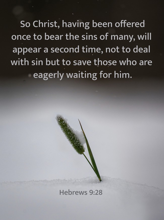 So Christ, having been offered once to bear the sins of many, will appear a second time, not to deal with sin but to save those who are eagerly waiting for him. - Hebrews 9:28