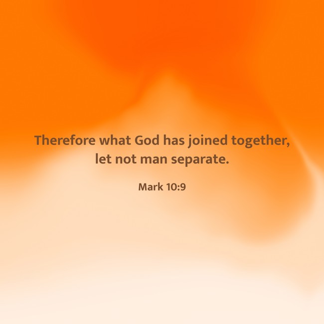Therefore what God has joined together, let not man separate. - Mark 10:9