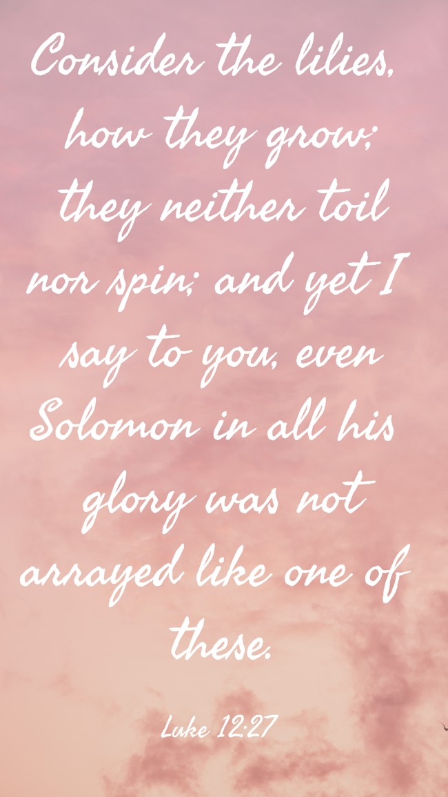 Consider the lilies, how they grow; they neither toil nor spin; and yet I say to you, even Solomon in all his glory was not arrayed like one of these. - Luke 12:27