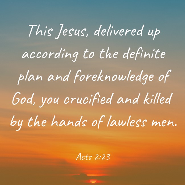 This Jesus, delivered up according to the definite plan and foreknowledge of God, you crucified and killed by the hands of lawless men. - Acts 2:23