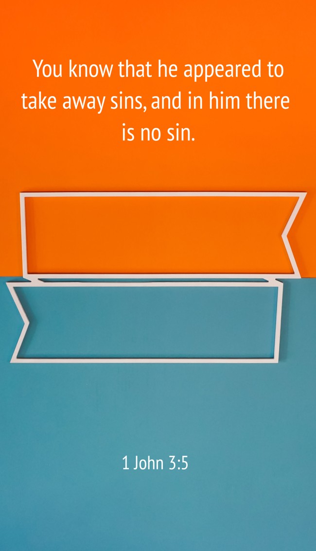 You know that he appeared to take away sins, and in him there is no sin. - 1 John 3:5